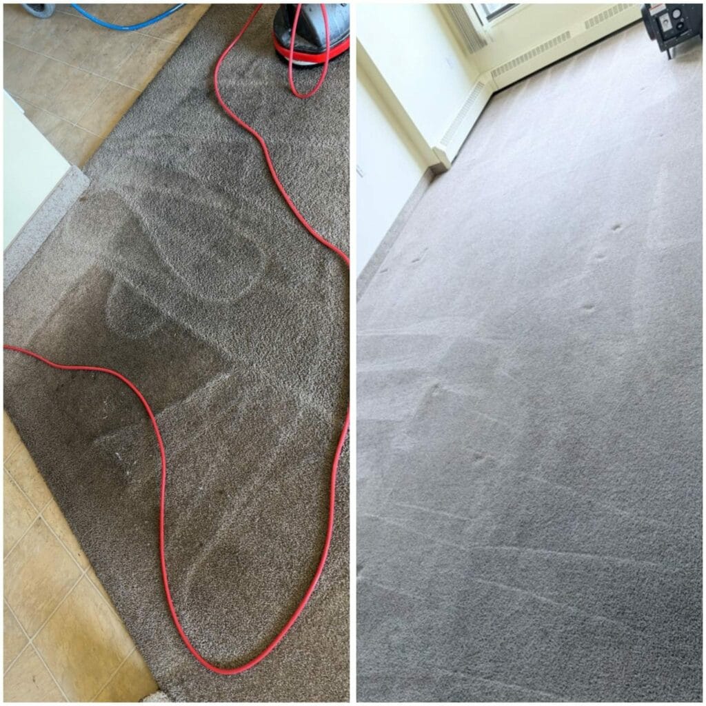 Carpet cleaning project by AD Spotless in Calgary