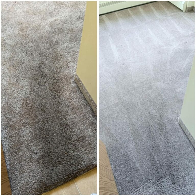 Side-by-side AD Spotless carpet cleaning comparison: darker traffic soil on the left and a lighter, groomed carpet on the right