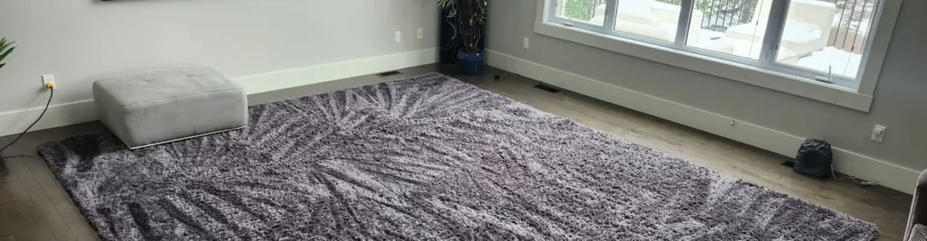 Professional carpet steam cleaning in Calgary by AD Spotless